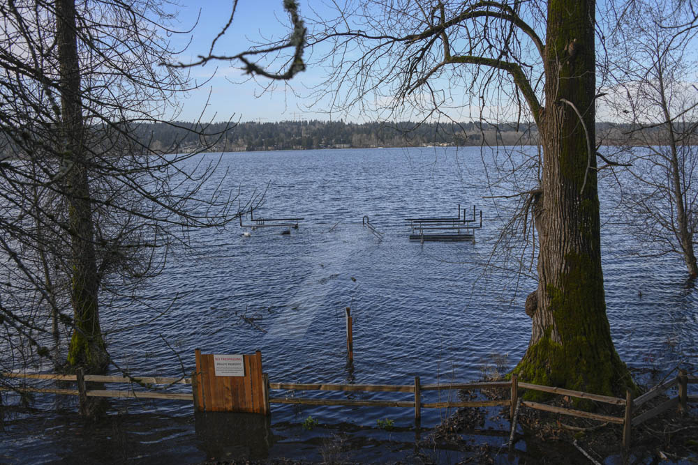 Lake Sammamish high water