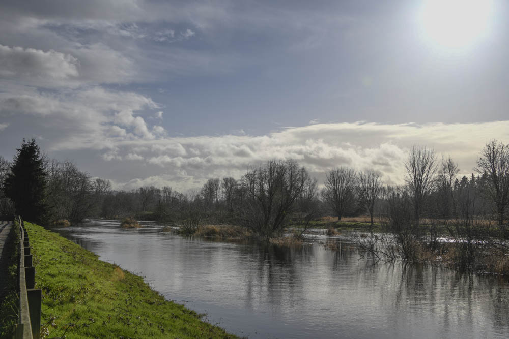 Slough Sammamish River