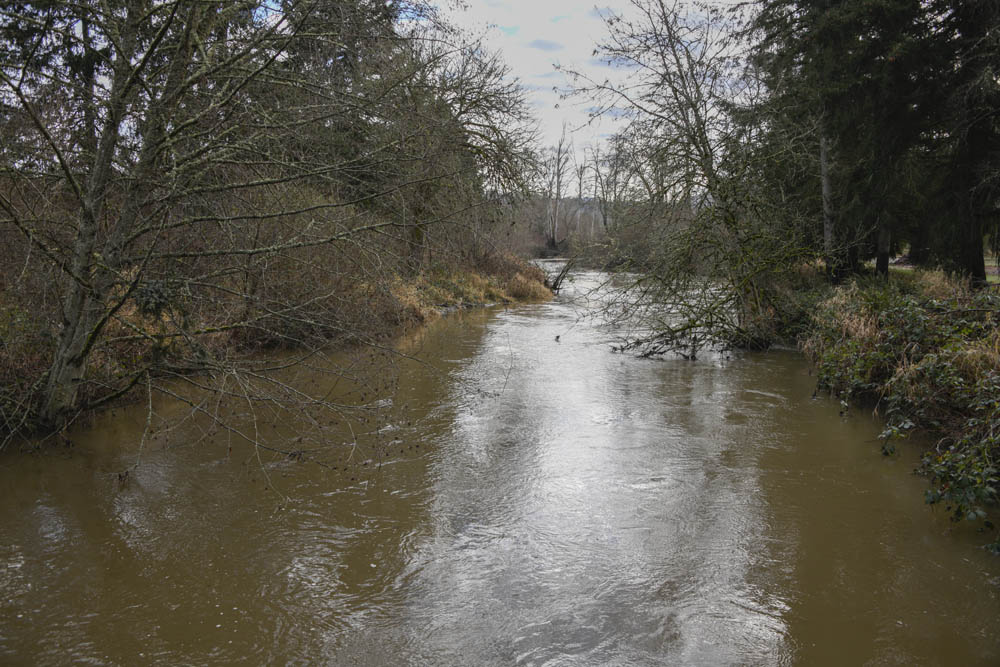 Issaquah Creek