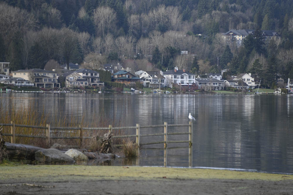 Lake Sammamish