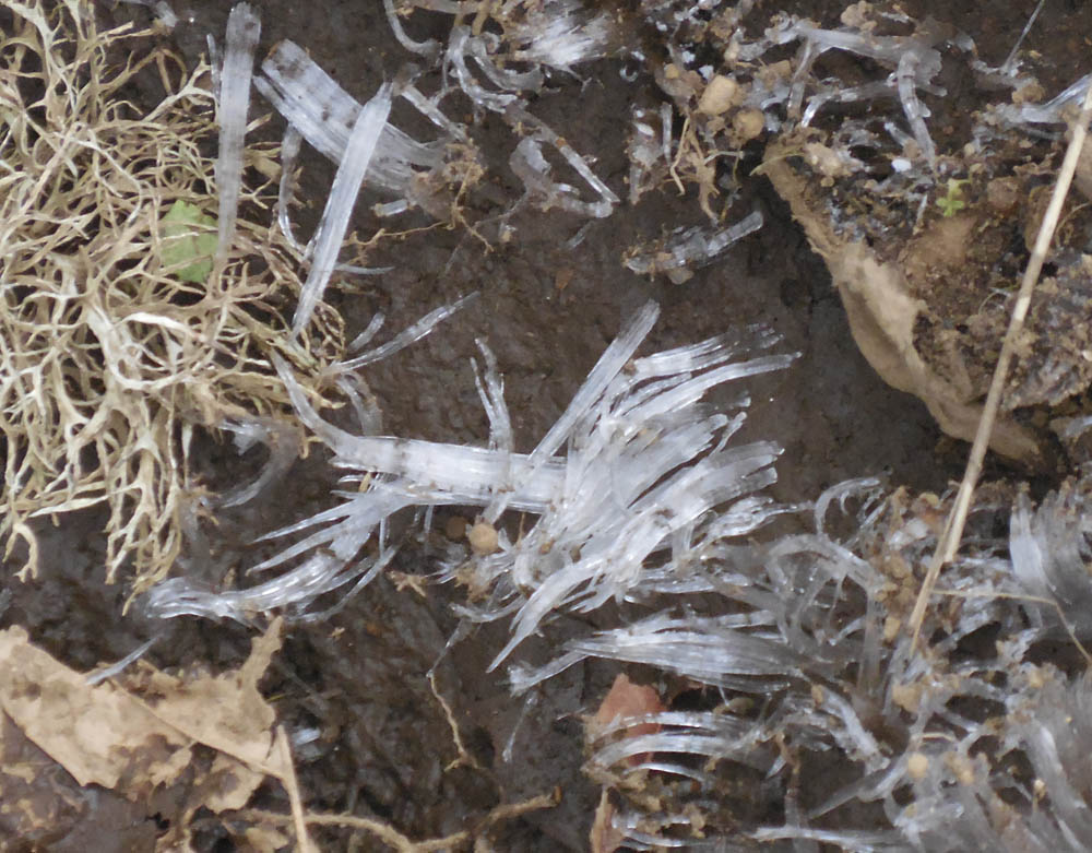 ground ice soaring eagle