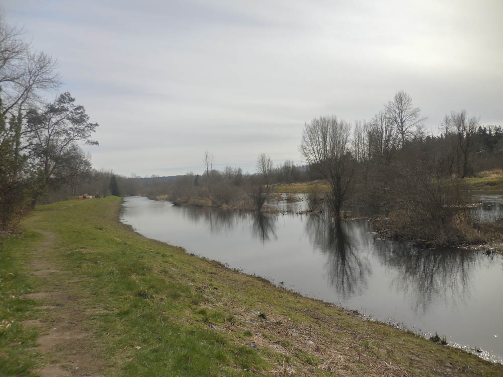 sammamish river at marymoor