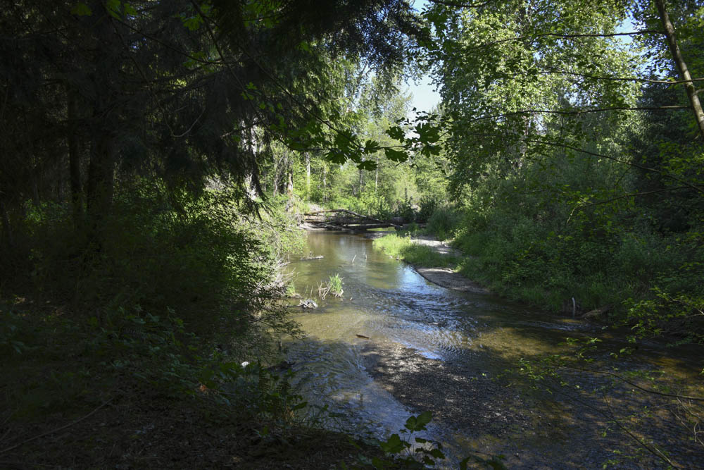 issaquah creek