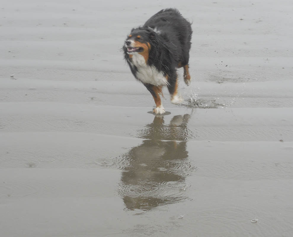 brooks seabrook 2021