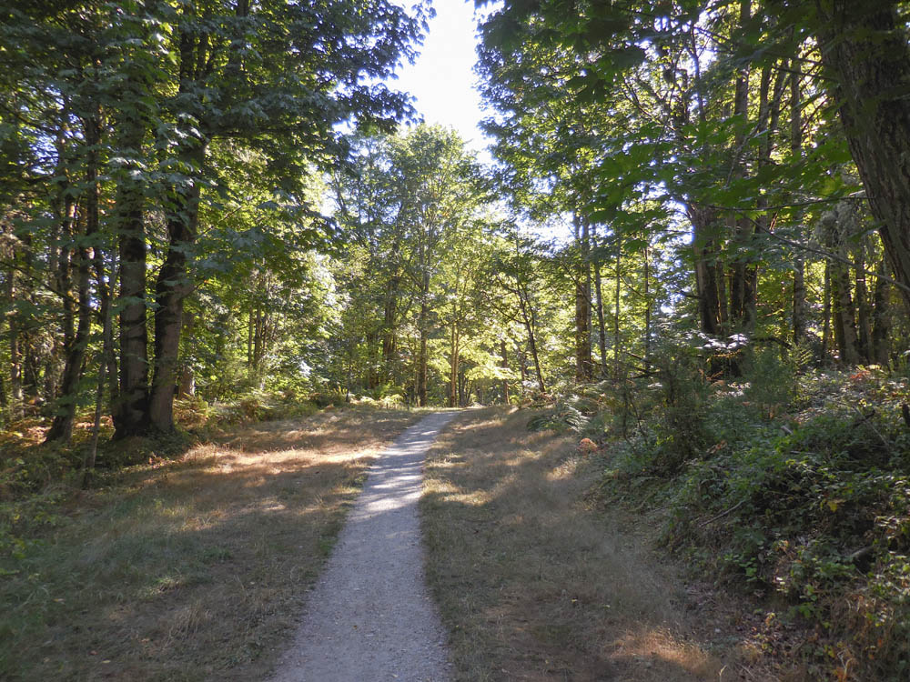 late summer soaring eagle park