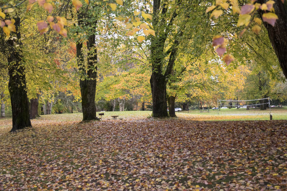 sammamish state park
