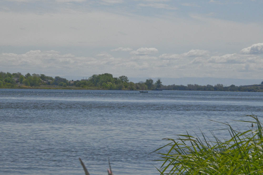 columbia river from bateman island