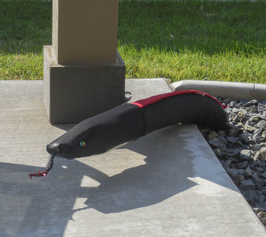 patio snake