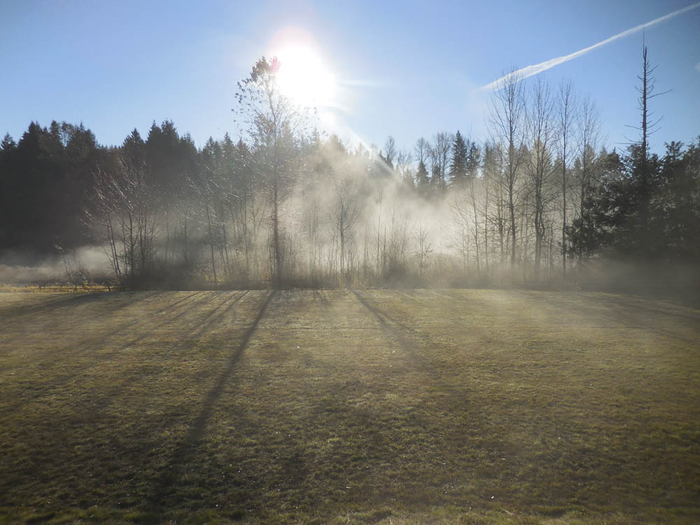 inversion day sammamish