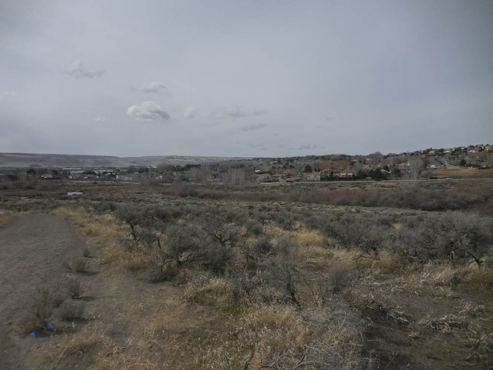 amon creek new phone camera