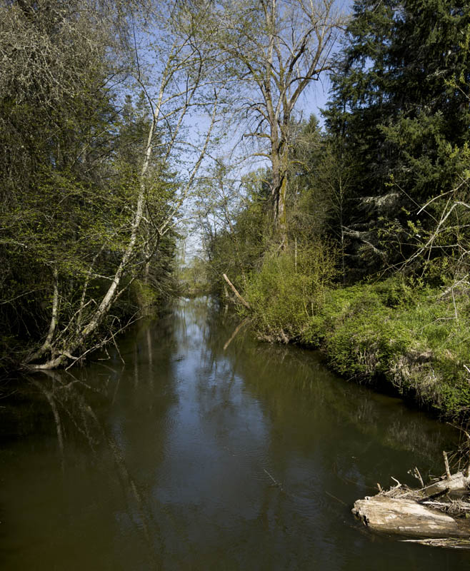 issaquah creek iphone