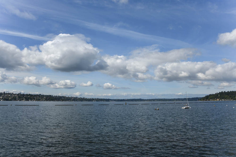 lake washington renton