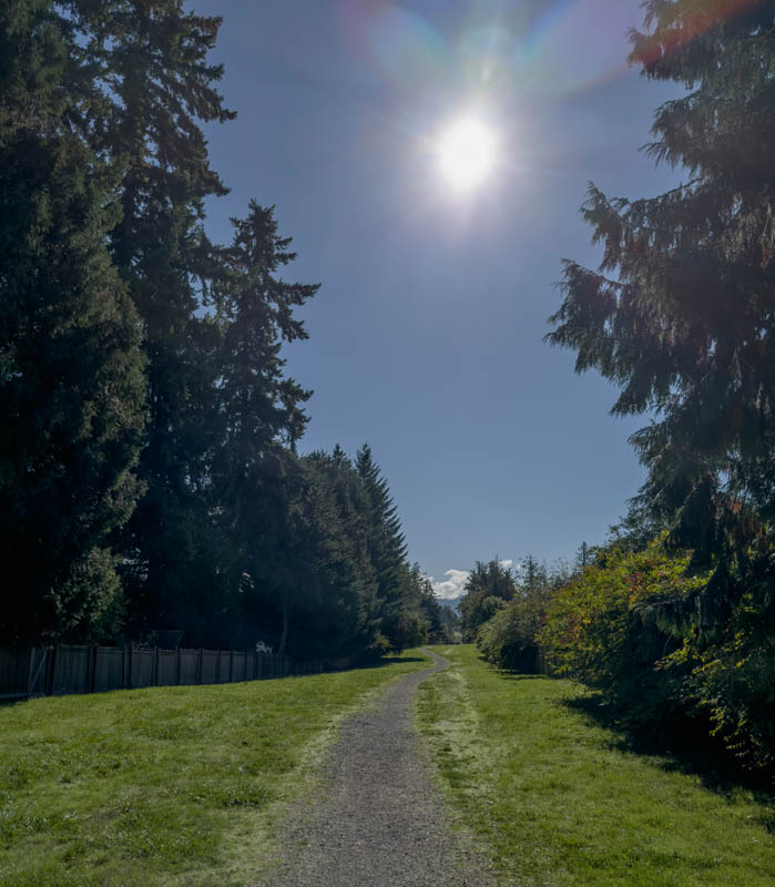 sammamish pipeline trail