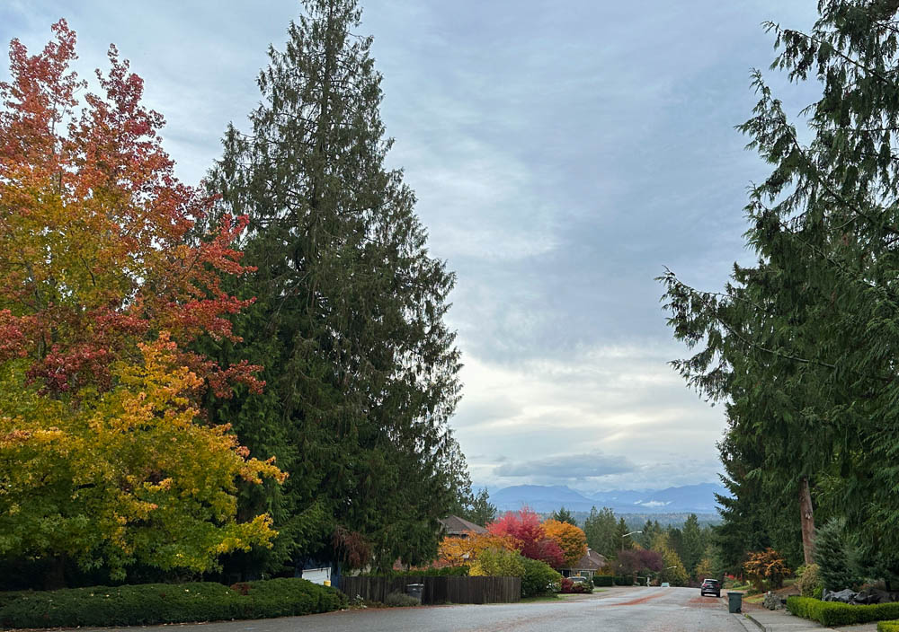 cascades from sammamish