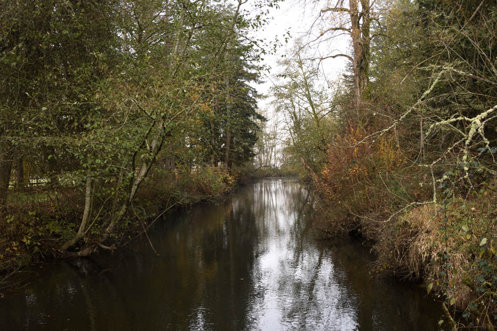 issaquah creek lake sammamish park