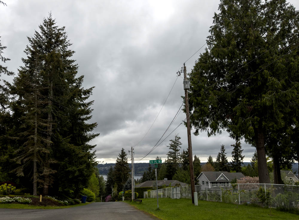 lake sammamish from sammamish plateau