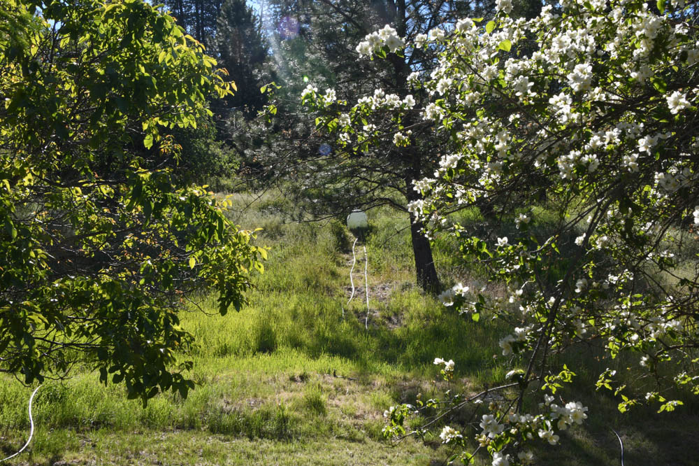 addy morning..gravity water