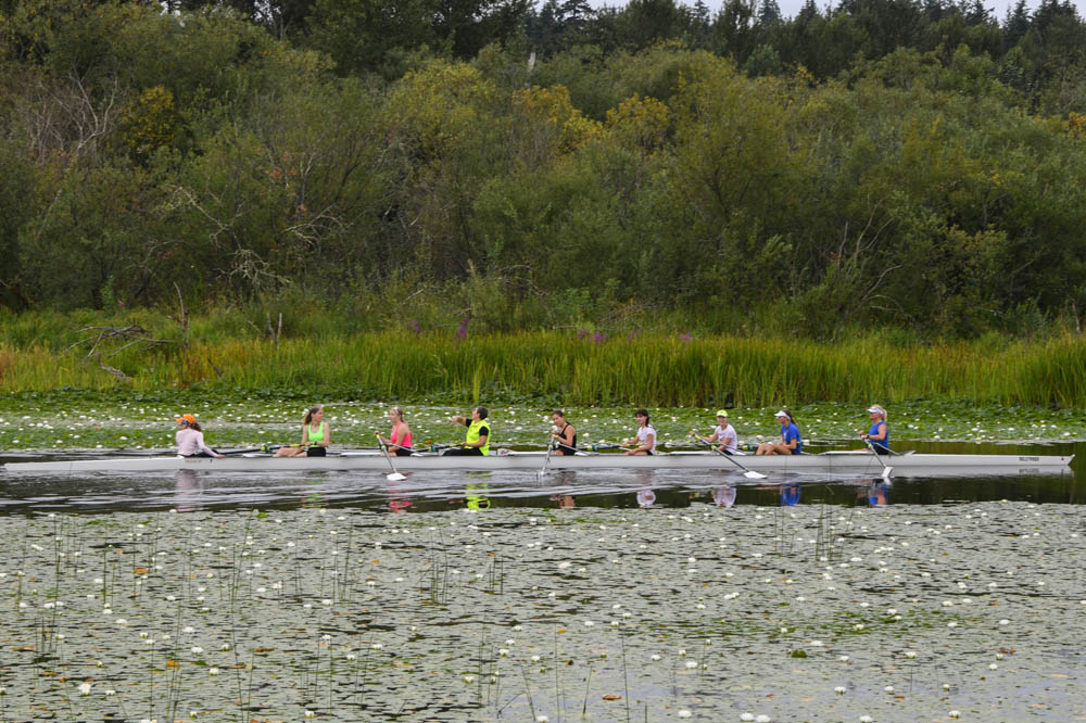 rowers on sammamish river