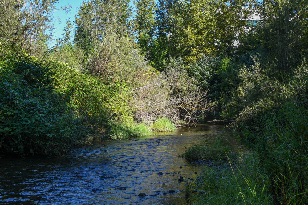 issaquah creek