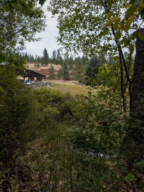 view from addy spring