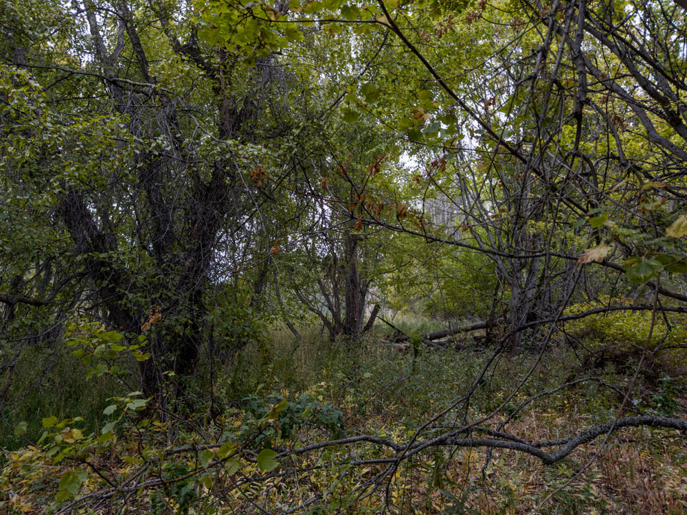 view from addy spring